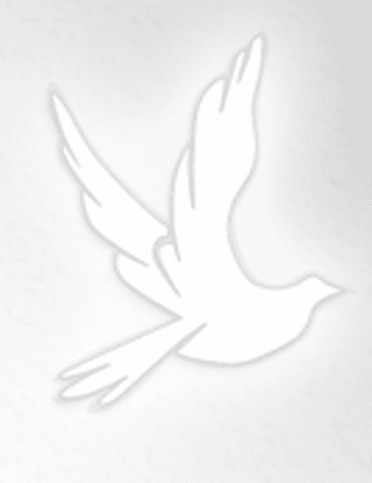 Donald E. Engen Obituary